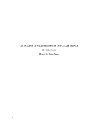 AN ANALYSIS of WILDFIRE IMPACTS on CLIMATE CHANGE By