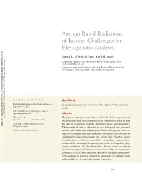Ancient Rapid Radiations of Insects: Challenges for Phylogenetic Analysis