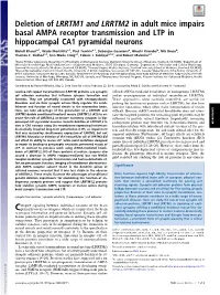 Deletion of LRRTM1 and LRRTM2 in Adult Mice Impairs Basal AMPA Receptor Transmission and LTP in Hippocampal CA1 Pyramidal Neurons