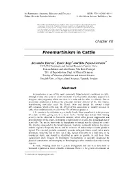 Freemartinism in Cattle