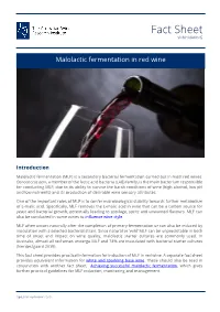 Malolactic Fermentation in Red Wine