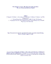 Market Access and Banana Production