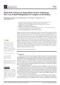 Small Rab Gtpases in Intracellular Vesicle Trafficking:The Case Of
