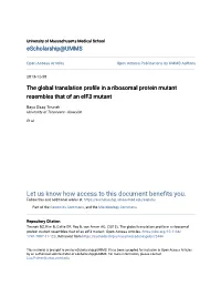 The Global Translation Profile in a Ribosomal Protein Mutant Resembles That of an Eif3 Mutant
