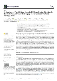 Type of the Paper (Article