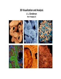 3D Visualization and Analysis J
