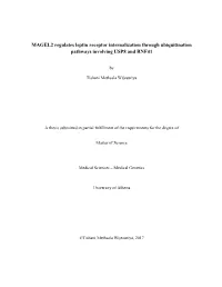 MAGEL2 Regulates Leptin Receptor Internalization Through Ubiquitination Pathways Involving USP8 and RNF41