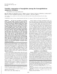 Variable Expression of Myoglobin Among the Hemoglobinless Antarctic Icefishes (Channichthyidae͞oxygen Transport͞phylogenetics)