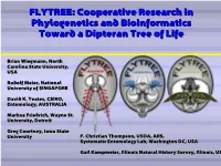 FLYTREE: Cooperative Research in Phylogenetics and Bioinformatics