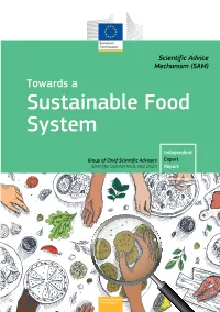 Towards a Sustainable Food System