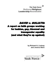 DAVID V. GOLIATH: a Report on Faith Groups Working for LGBT Equality