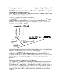 Lecture 4 Integrative Biology 168: Spring 2009 Lycophytes