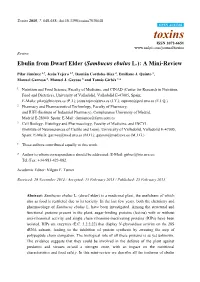 Sambucus Ebulus L.): a Mini-Review