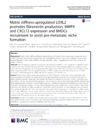 Matrix Stiffness-Upregulated LOXL2 Promotes Fibronectin Production