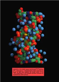 Structural Aspects of Nucleic Acid Analogs and Antisense Oligonucleotides
