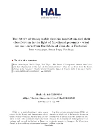 The Future of Transposable Element Annotation and Their Classification in the Light of Functional Genomics