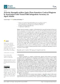Activity Strength Within Optic Flow-Sensitive Cortical Regions Is Associated with Visual Path Integration Accuracy in Aged Adults