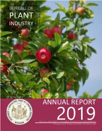 Annual Report