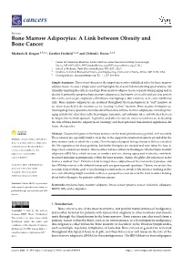 Bone Marrow Adipocytes: a Link Between Obesity and Bone Cancer