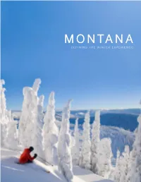 Defining the Winter Experience