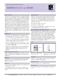 MORF4L1/2 (E-2): Sc-393208
