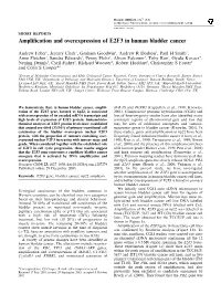 Amplification and Overexpression of E2F3 in Human Bladder Cancer