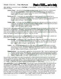 Shade Tree Info – the Maples