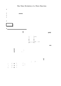 The Time Evolution of a Wave Function