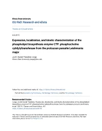 Expression, Localization, and Kinetic Characterization of The