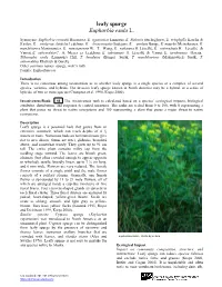 Leafy Spurge Euphorbia Esula L