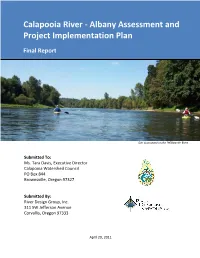 Albany-Calapooia Assessment and Project Implementation Plan