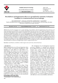 Microhabitats and Fragmentation Effects on a Ground Beetle Community (Coleoptera: Carabidae) in a Mountainous Beech Forest Landscape