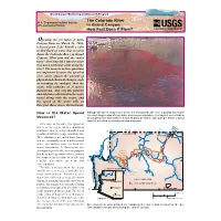 The Colorado River in Grand Canyon: How Fast Does It Flow?