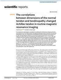The Correlations Between Dimensions of the Normal Tendon And