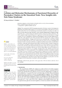 Cellular and Molecular Mechanisms of Functional Hierarchy of Pacemaker Clusters in the Sinoatrial Node: New Insights Into Sick Sinus Syndrome