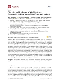 Diversity and Evolution of Viral Pathogen Community in Cave Nectar Bats (Eonycteris Spelaea)