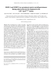 MMP-2 and MMP-9 Are Prominent Matrix Metalloproteinases During Atherosclerosis Development in the Ldlr-/-Apob100/100 Mouse