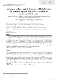 Molecular and Serological Detection of Ehrlichia Canis in Naturally