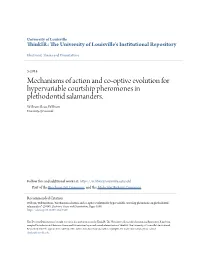 Mechanisms of Action and Co-Optive Evolution for Hypervariable Courtship Pheromones in Plethodontid Salamanders