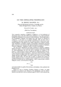 On the Cephalopod Phosphagen by Ernest Baldwin, B.A