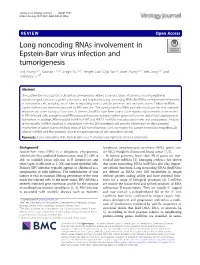 Long Noncoding Rnas Involvement in Epstein-Barr Virus Infection And