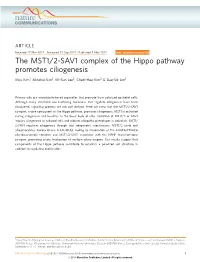 The MST1/2-SAV1 Complex of the Hippo Pathway Promotes Ciliogenesis