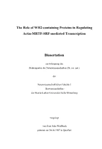 The Role of WH2-Containing Proteins in Regulating Actin-MRTF-SRF-Mediated Transcription
