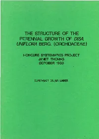The Structure of the Perennial Growth of Disa Un/Flora Berg