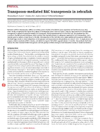 Transposon-Mediated BAC Transgenesis in Zebrafish