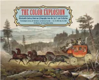 Color Explosion Gallery Guide