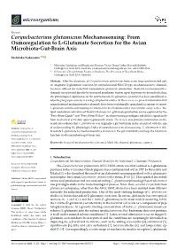 Corynebacterium Glutamicum Mechanosensing: from Osmoregulation to L-Glutamate Secretion for the Avian Microbiota-Gut-Brain Axis