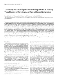 The Receptive-Field Organization of Simple Cells in Primary Visual Cortex of Ferrets Under Natural Scene Stimulation