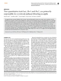 Two Quantitative Trait Loci, Dw1 and Dw2, Are Primarily Responsible for Rootstock-Induced Dwarfing in Apple