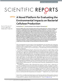 A Novel Platform for Evaluating the Environmental Impacts on Bacterial